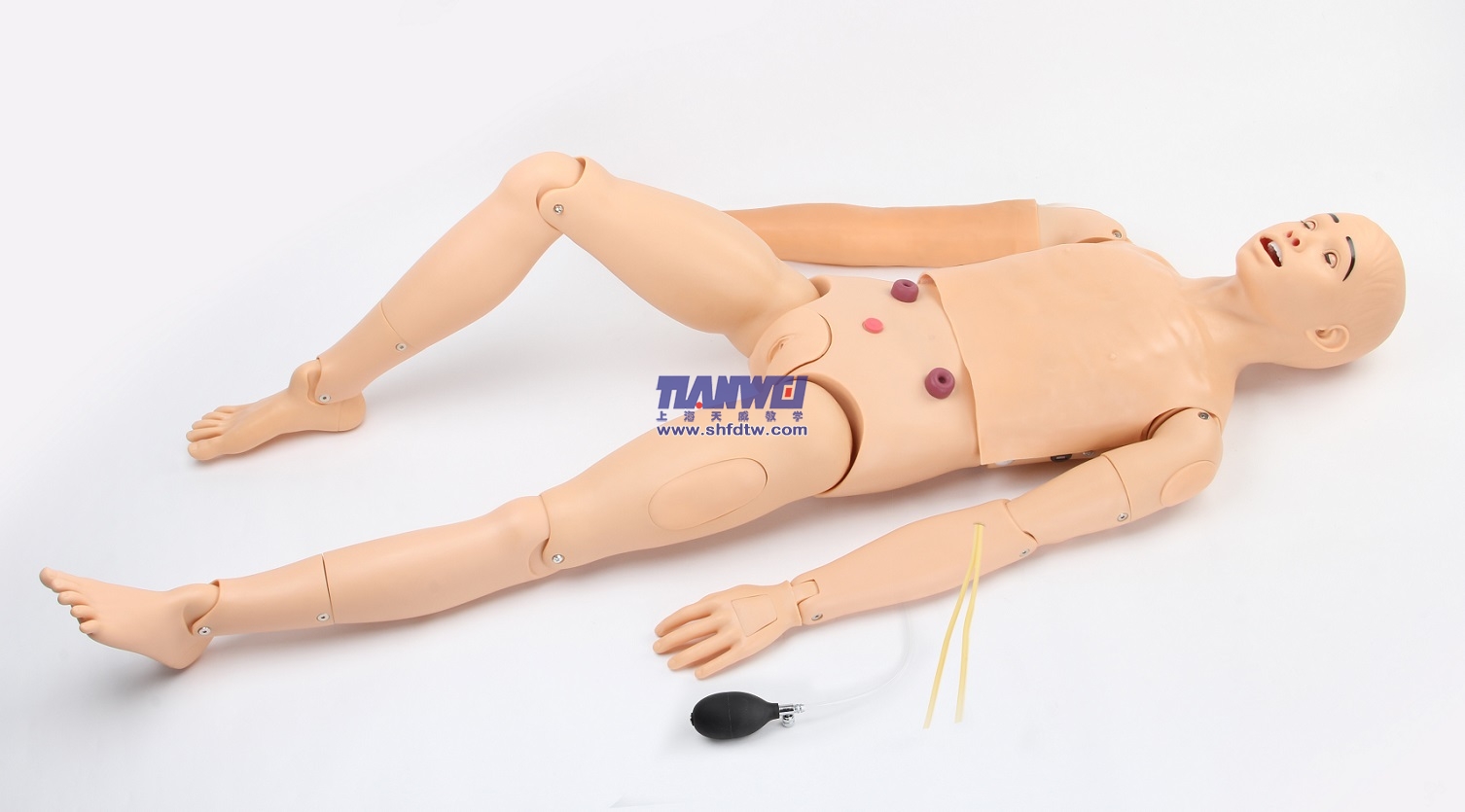 高級(jí)成人護(hù)理及CPR心肺復(fù)蘇模型人